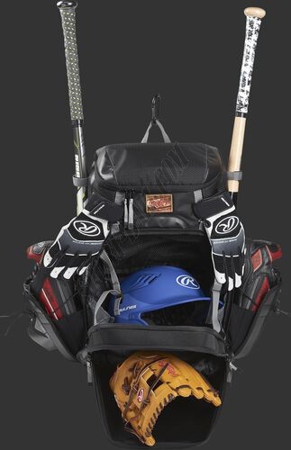 The Gold Glove® Series Equipment Bag ● Outlet - -3
