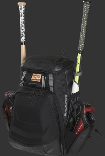 The Gold Glove® Series Equipment Bag ● Outlet - -4