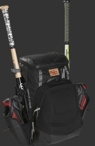 The Gold Glove® Series Equipment Bag ● Outlet - -12